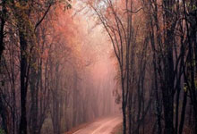 以脚步丈量“重生”.