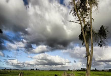 英超:利物浦以2比2踢和埃弗顿.