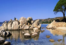 首届国际篮联三人篮球冠军杯落幕 塞尔维亚、加拿大夺冠.